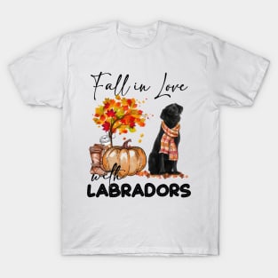 Fall In Love Scarf  Black Labrador T-Shirt